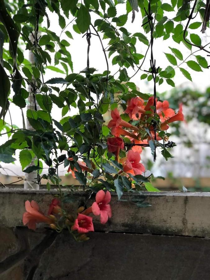 Hidden Hue Homestay Экстерьер фото