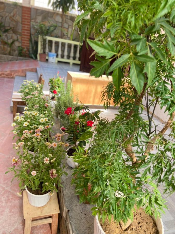 Hidden Hue Homestay Экстерьер фото