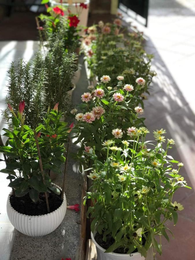 Hidden Hue Homestay Экстерьер фото
