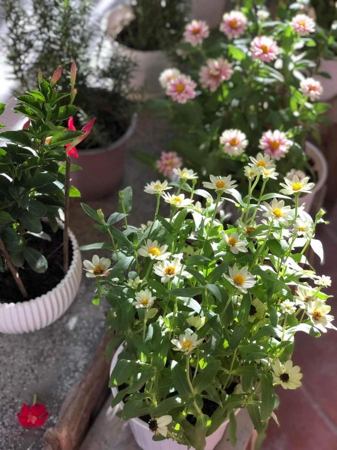 Hidden Hue Homestay Экстерьер фото